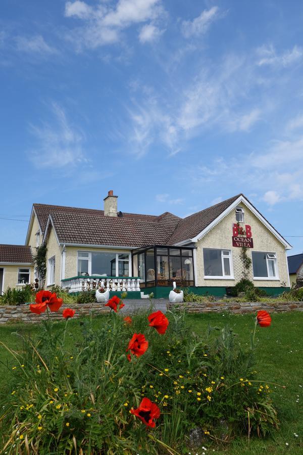 Ocean Villa Country Home Clifden Luaran gambar